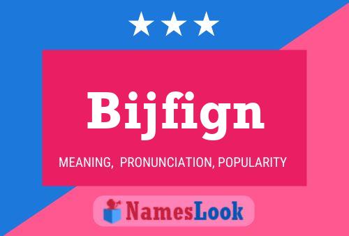 Bijfign 名字海报