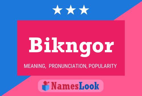 Bikngor 名字海报