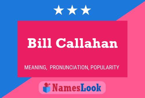 Bill Callahan 名字海报