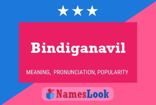 Bindiganavil 名字海报