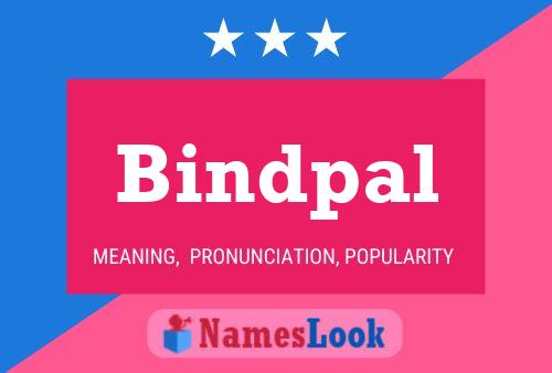 Bindpal 名字海报