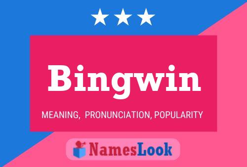 Bingwin 名字海报