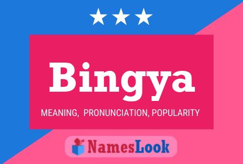 Bingya 名字海报