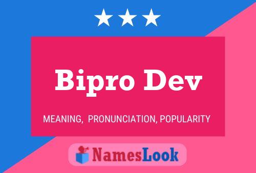 Bipro Dev 名字海报