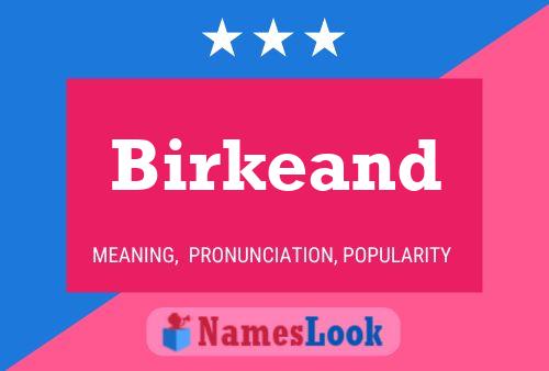 Birkeand 名字海报