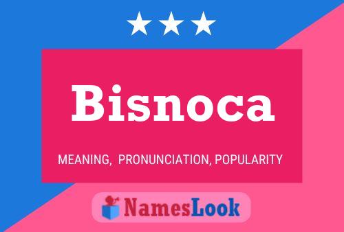 Bisnoca 名字海报