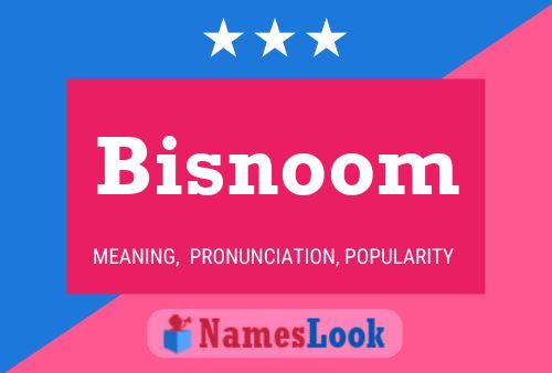 Bisnoom 名字海报