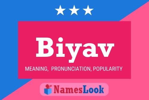 Biyav 名字海报