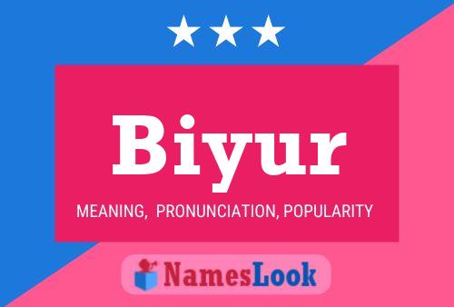 Biyur 名字海报