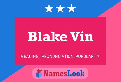 Blake Vin 名字海报