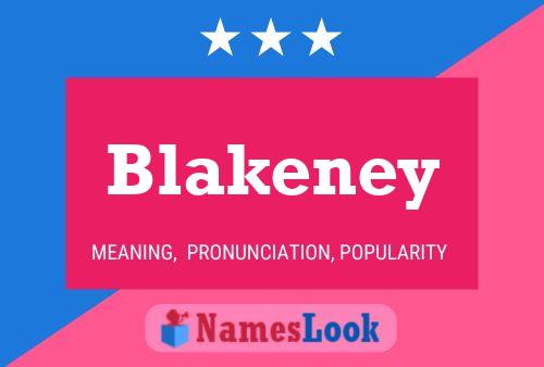 Blakeney 名字海报