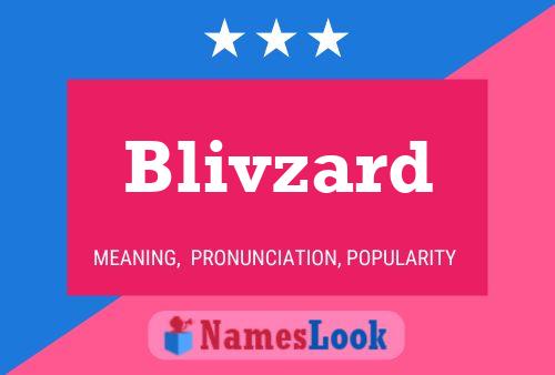 Blivzard 名字海报