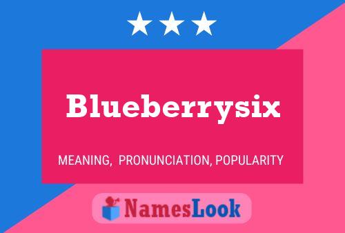 Blueberrysix 名字海报