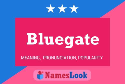 Bluegate 名字海报