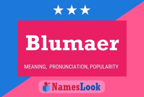 Blumaer 名字海报