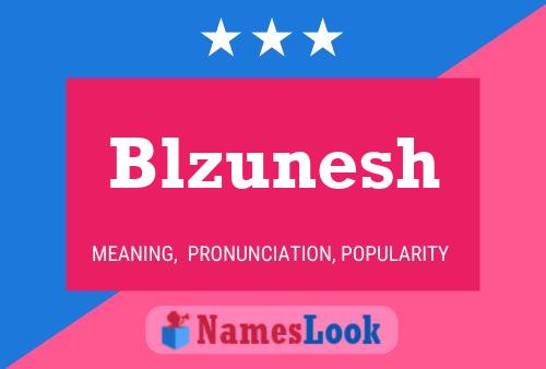 Blzunesh 名字海报