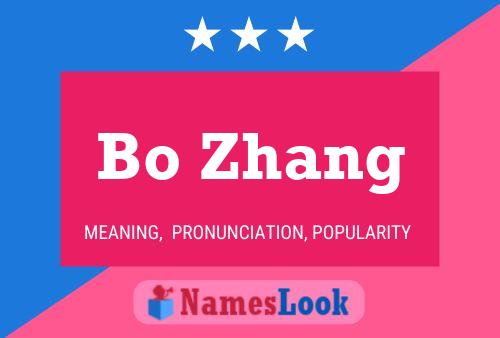 Bo Zhang 名字海报