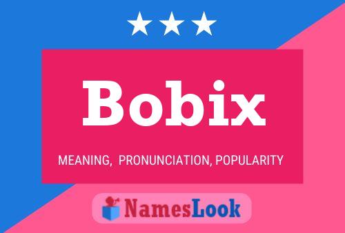 Bobix 名字海报