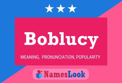 Boblucy 名字海报