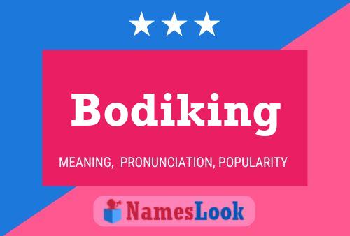 Bodiking 名字海报