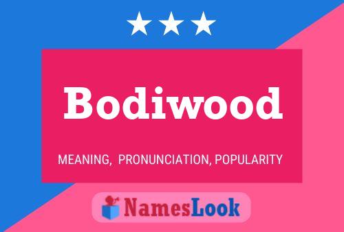 Bodiwood 名字海报