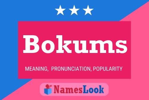 Bokums 名字海报