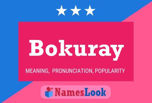 Bokuray 名字海报