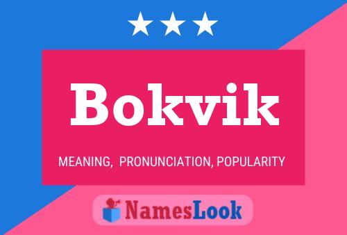 Bokvik 名字海报