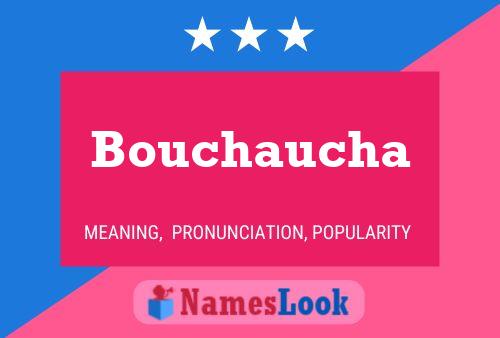 Bouchaucha 名字海报