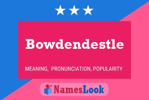 Bowdendestle 名字海报