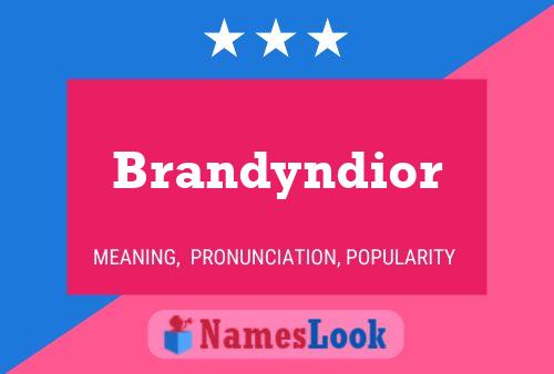 Brandyndior 名字海报