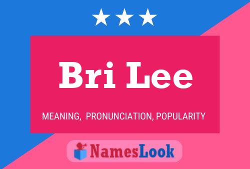 Bri Lee 名字海报