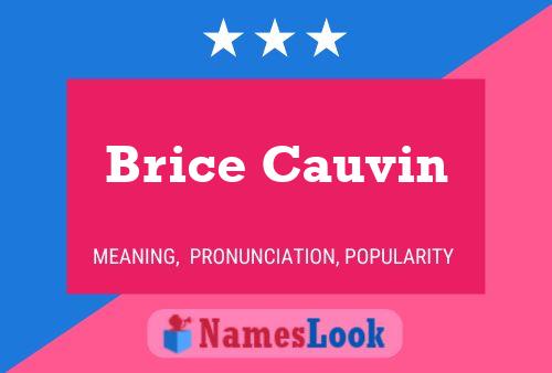 Brice Cauvin 名字海报