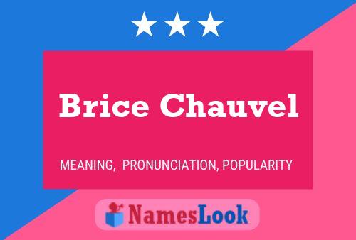 Brice Chauvel 名字海报