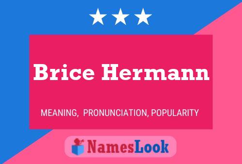 Brice Hermann 名字海报