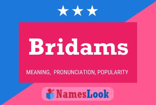 Bridams 名字海报