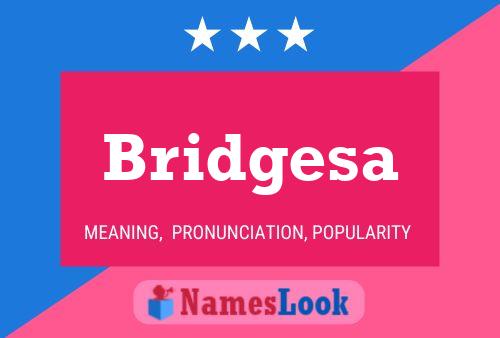 Bridgesa 名字海报