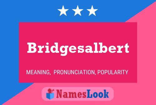 Bridgesalbert 名字海报