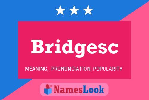 Bridgesc 名字海报