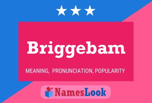 Briggebam 名字海报