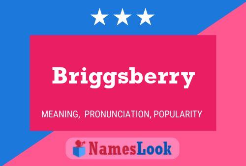 Briggsberry 名字海报