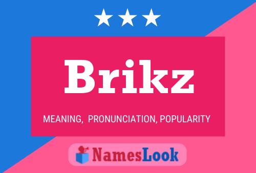 Brikz 名字海报