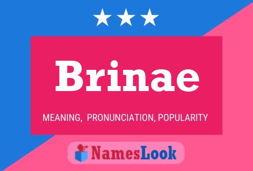 Brinae 名字海报