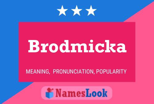 Brodmicka 名字海报