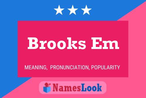 Brooks Em 名字海报