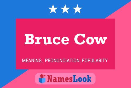 Bruce Cow 名字海报