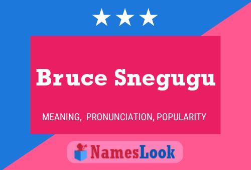 Bruce Snegugu 名字海报