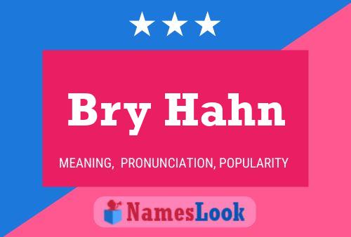 Bry Hahn 名字海报