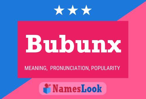 Bubunx 名字海报