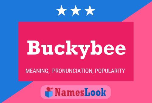 Buckybee 名字海报